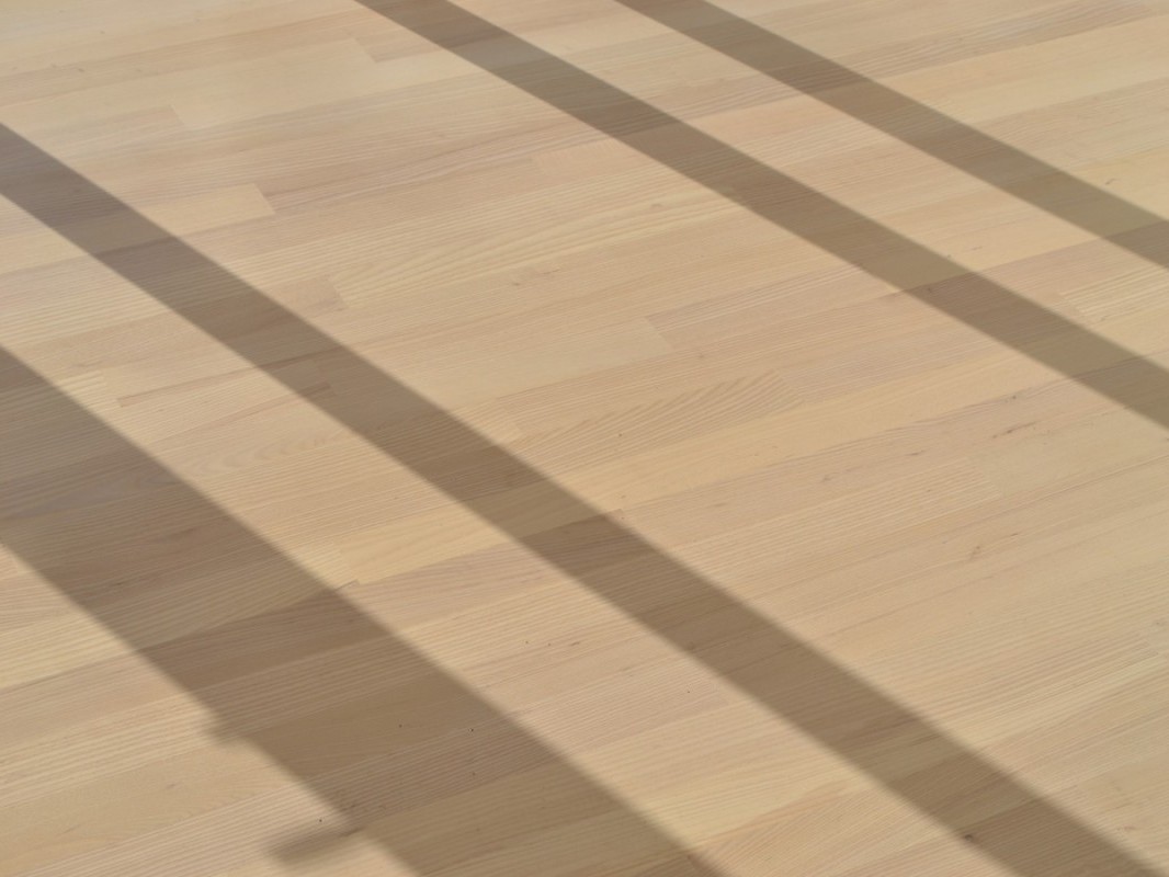 D House shadows on ash floor